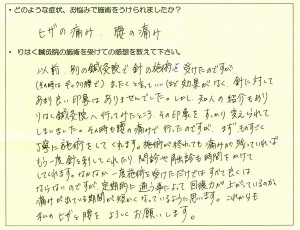 voice1